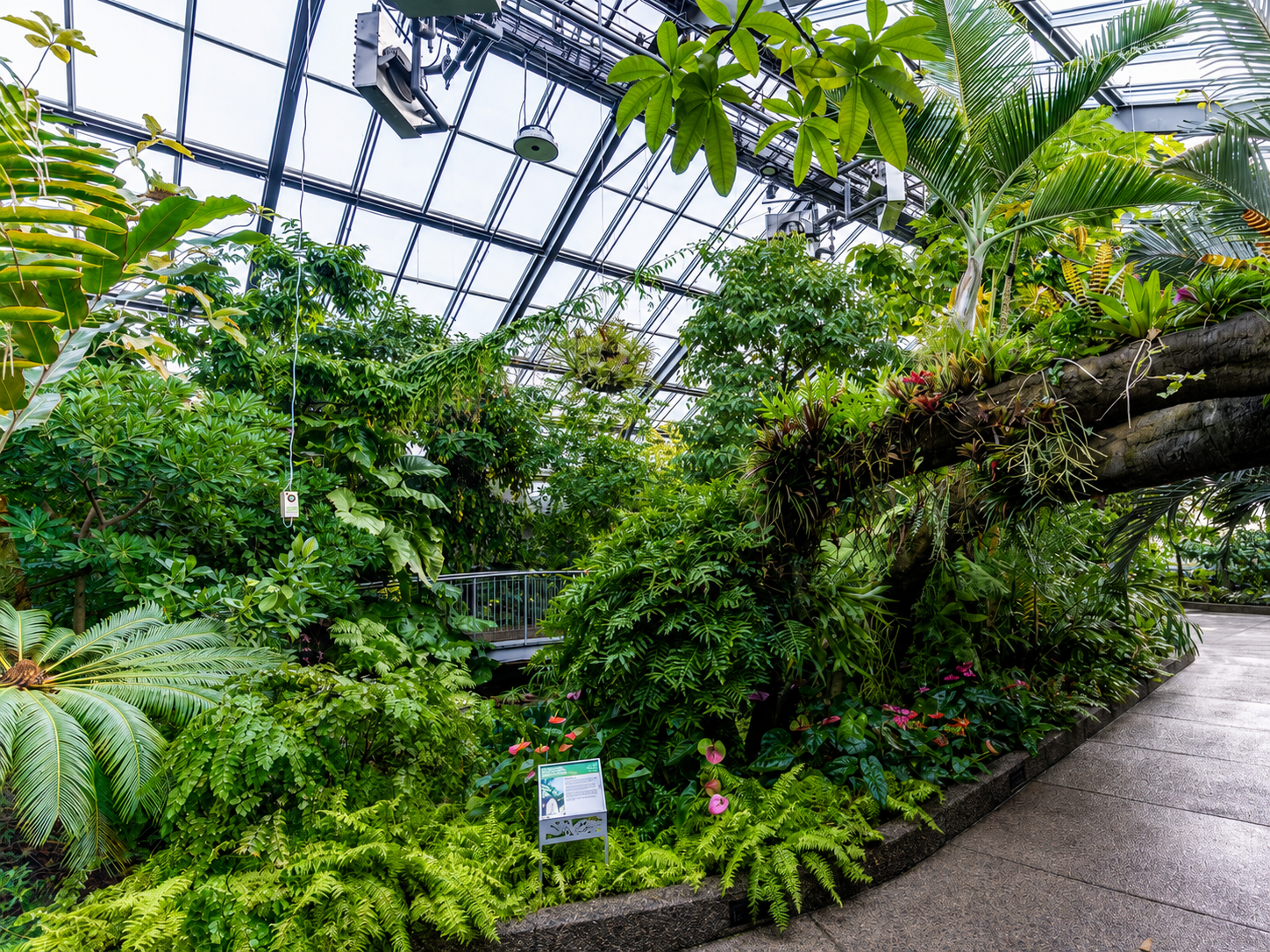 ENMAX Conservatory lush green pathways